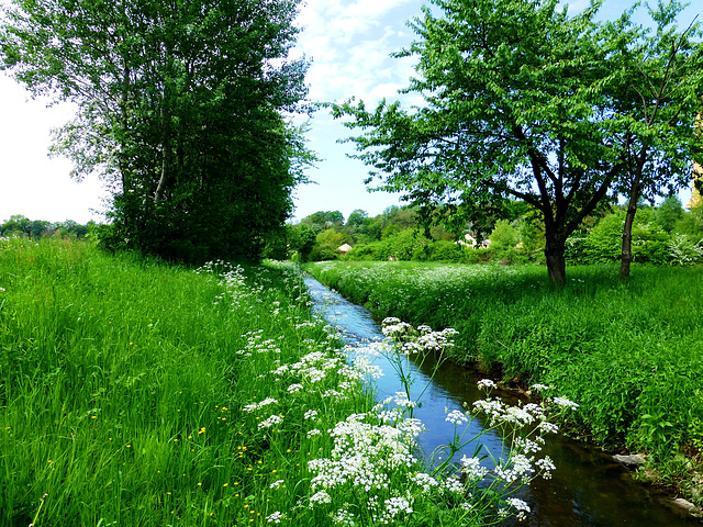 DE - Weilerswist - Springtime