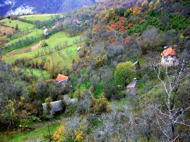 #6 - Petar Bojić - View from the rock - 22̊ 0points