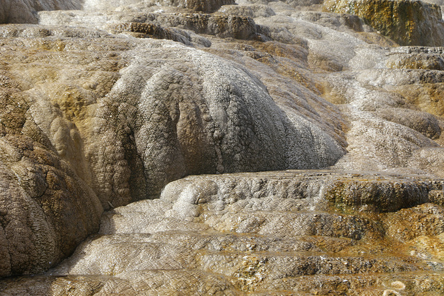 Mammoth Hot Springs