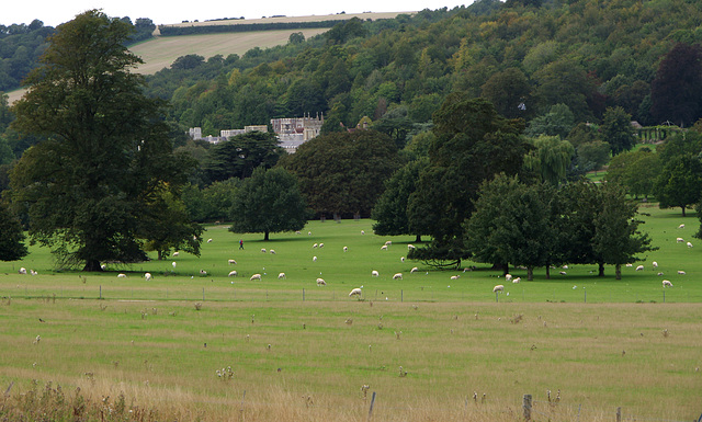 View of West Dean College from WDLM