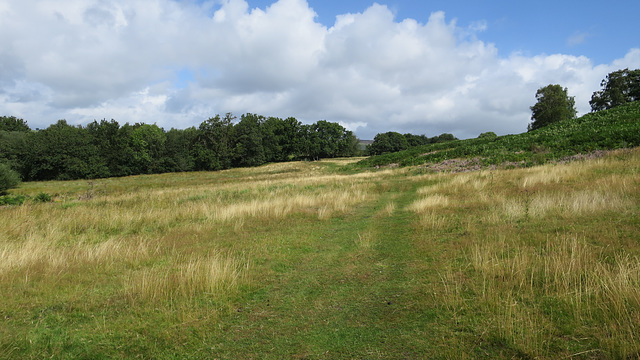 Walking through fields