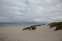 20140909 4928VRAw [NL] Strand, Terschelling