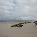 20140909 4928VRAw [NL] Strand, Terschelling