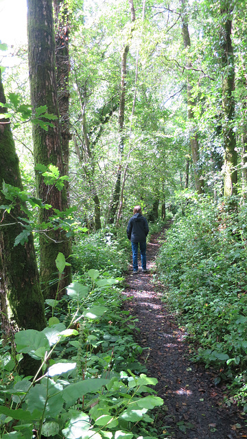 Railway path