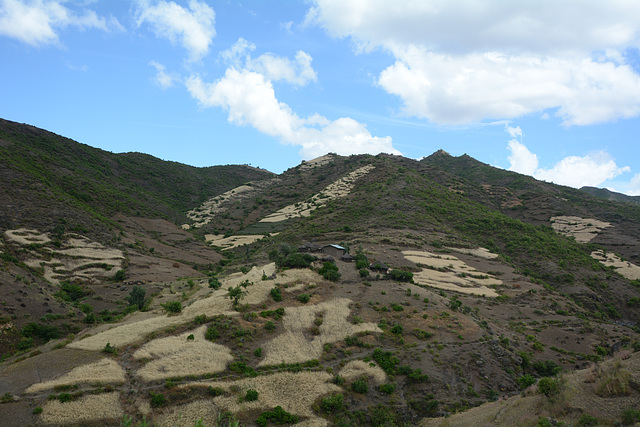 Ethiopian Agriculture, Cereal Crops on Hillsides