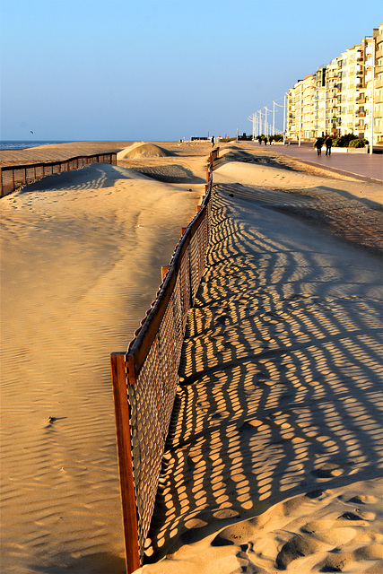 Fence in the sand