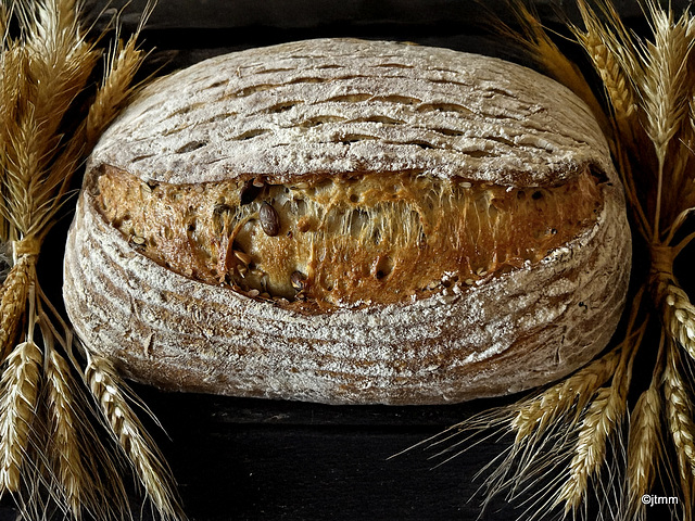 1.1 kg multi-seeded sourdough - 23 mins 100% steam 225°C + 8 minutes 215°C no steam.