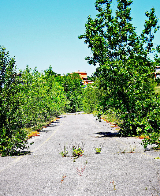 Maiolo (RN), Loc: S. Maria in Antico. Ponte in disuso sul torrente Prena, strada SP 258 (ex SS 258).  -  "Cassandra Crossing" bridge on Prena river. (ex National Route N° 258)