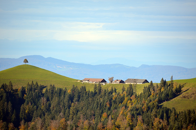 Milchbetriebe auf einer Emmentaleralp