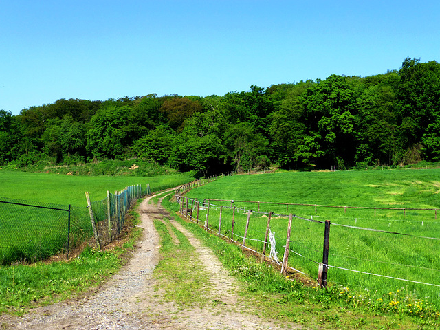 DE - Weilerswist - Springtime