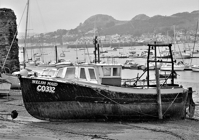 Welsh Maid - Conwy.