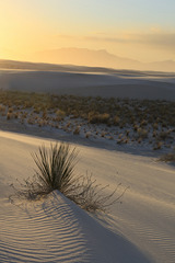 White Sands Sunset