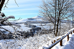 Snowy Fence and Harz mountains!