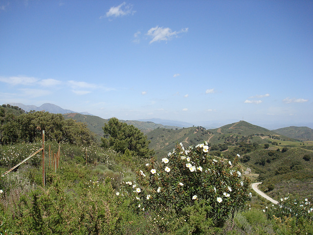 Istán - Ojén durch die Sierra de las Nieves