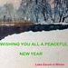 New year card