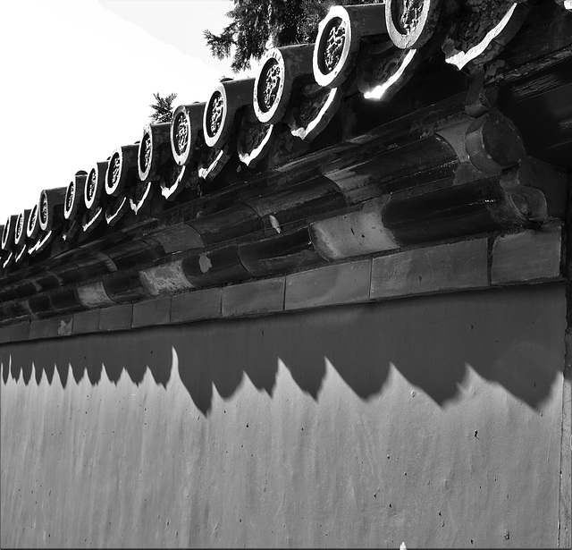 Shadowplay, Forbidden City