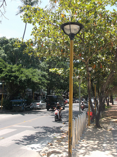 Lampadaires et feuillages