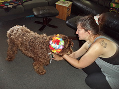 Coco with flower earmuffs