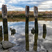 The Petaluma River