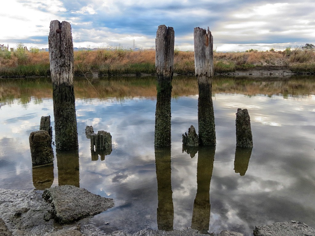 The Petaluma River