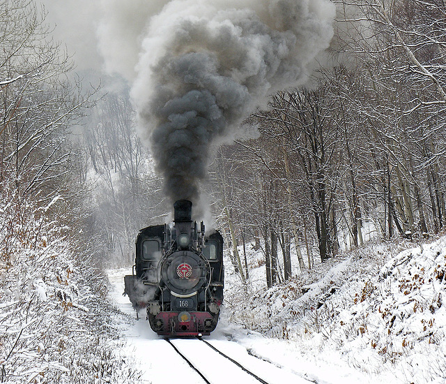 Narrow gauge in the snow