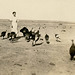 Just Part of the Flock, 1921
