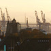 goldene Stimmung am Hafen (PiP)