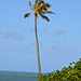 at Kahala Beach