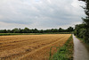 Feld bei der Schievenfeld-Siedlung (Gelsenkirchen-Erle) / 25.07.2022