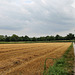 Feld bei der Schievenfeld-Siedlung (Gelsenkirchen-Erle) / 25.07.2022