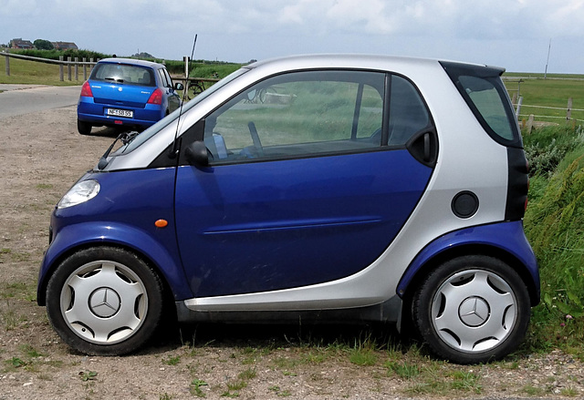 Smart auf Hallig Hooge