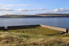 The Regimental Mascots' Graveyard at Fort George looking over the Moray Firth