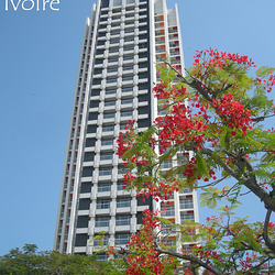 Hôtel Ivoire, Abidjan, 2013