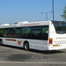 Coach Services of Thetford YN03 UWK in Bury St Edmunds - 4 June 2010 (DSCN4123)