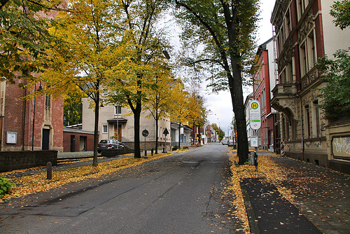 Herbeder Straße (Witten) / 15.10.2022