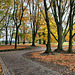 Herbststimmung im Kurpark Königsborn (Unna-Königsborn) / 26.11.2022