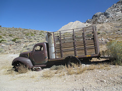 Cerro Gordo 83