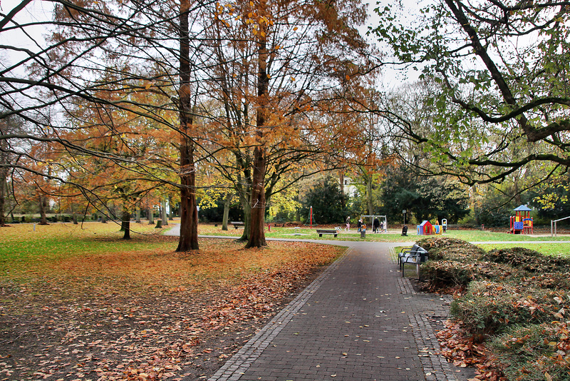 Kurpark Königsborn (Unna-Königsborn) / 26.11.2022