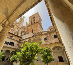 Palma cathedral 2