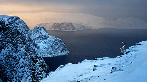 08/50 North Cape Arcing