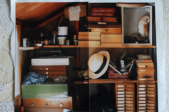 The Owl in the Printing Shed