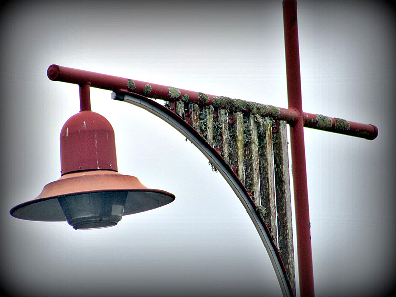 Tokoroa Street Light.