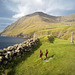 Faroe Islands, Vidareidi L1000548
