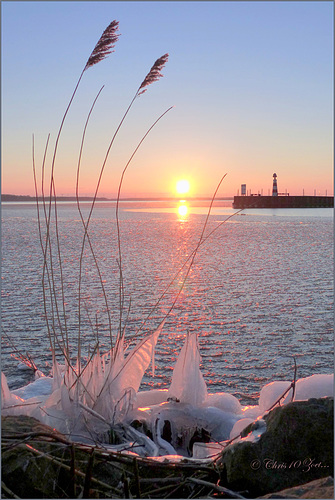 Icy Winter Wonderland...