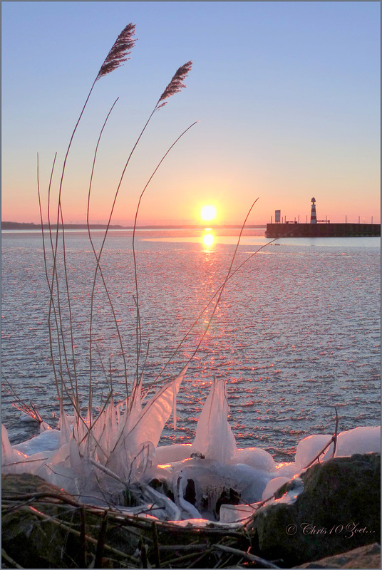 Icy Winter Wonderland...