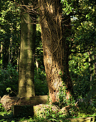 Light At Preston Cemetery. North Shields