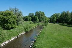 der Binnenkanal neben der Thur bei Ittingen (© Buelipix)