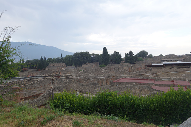 DSC06015