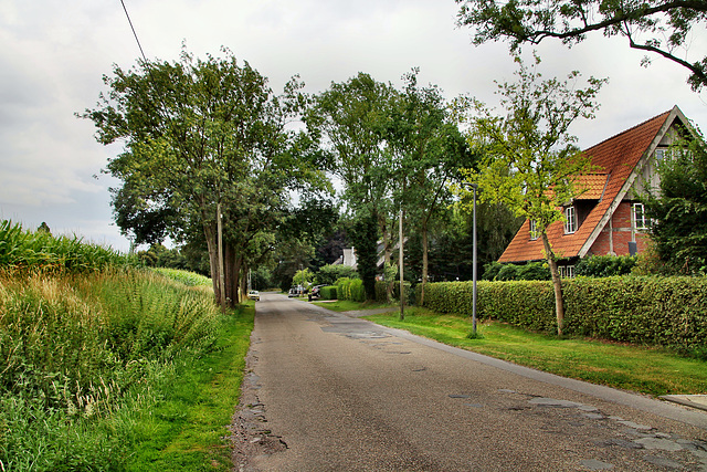 Brauckstraße (Gelsenkirchen-Buer) / 25.07.2022