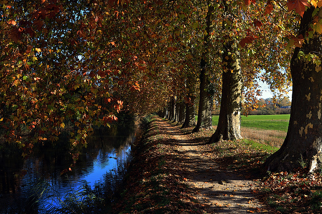 Chemin de Halage